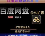 百度网盘无限扩容技术,外面卖399的,无论自己用还是用做引流都可以-资源云