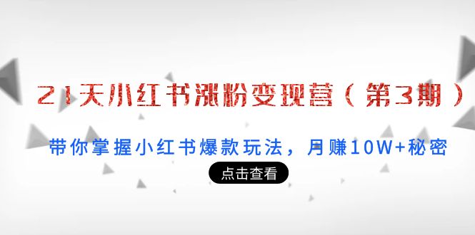 21天小红书涨粉变现营（第3期）：带你掌握小红书爆款玩法，月赚10W+秘密-资源云