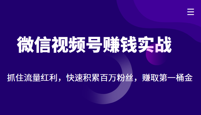 微信视频号赚钱实战：抓住流量红利，快速积累百万粉丝，赚取你的第一桶金-资源云