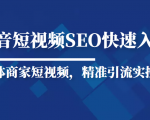 抖音短视频Seo搜索排名优化新手快速入门教程，实体商家短视频，精准引流实操课-资源云