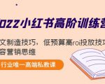 2022小红书高阶训练营:爆文制造技巧,低预算高roi投放技巧,内容营销思维-资源云