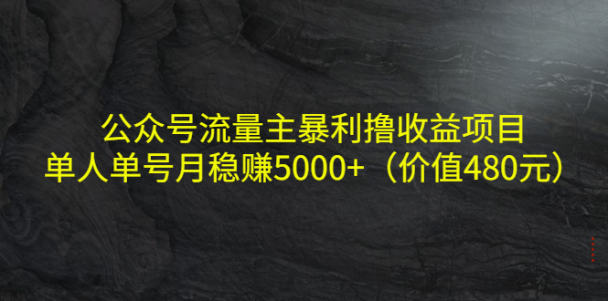 公众号流量主暴利撸收益项目，单人单号月稳赚5000+（价值480元）-资源云