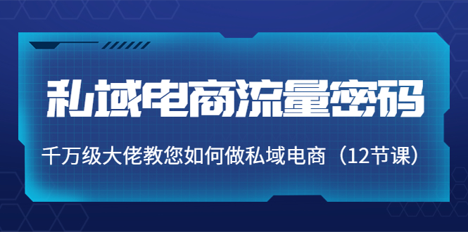 私域电商流量密码：千万级大佬教您如何做私域电商（12节课）-资源云