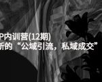 新媒体IP内训营(12期)，一套全新的“公域引流，私域成交”IP打法，直接带走-资源云