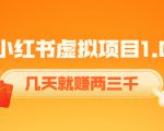 《小红书虚拟项目1.0》账号注册+养号+视频制作+引流+变现,几天就赚两三千-资源云