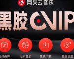 网易云音乐撸黑胶年卡及变现方法,收益可无限放大-资源云