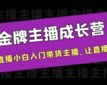 金牌主播成长营,一周从直播小白入门带货主播,让直播更简单-资源云