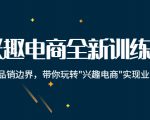 兴趣电商全新训练营：打破品销边界，带你玩转“兴趣电商“实现业务增长-资源云