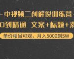 中视频二创解说训练营：从0到精通 文案+标题+素材、月入5000到5W-资源云