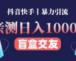 日收益1000+的交友盲盒副业丨有手就行的抖音快手暴力引流-资源云