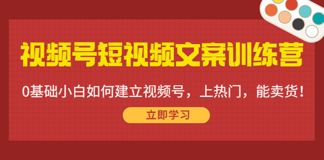 视频号短视频文案训练营：0基础小白如何建立视频号，上热门，能卖货！-资源云