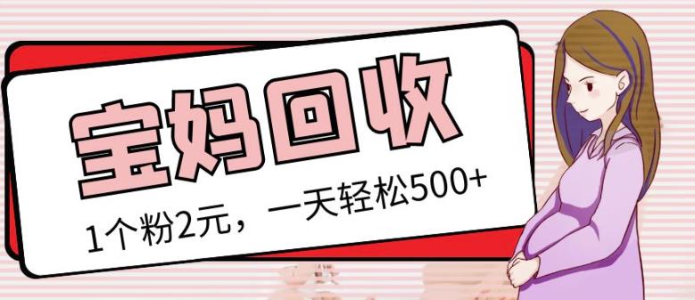 最新小红书母婴号宝妈粉回收项目，1个粉2元，一天轻松500+案例分享【粉丝包回收】-资源云