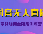 抖音无人直播带货赚佣金陪跑训练营(价值6980元)-资源云