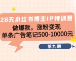 28天小红书博主IP特训营《第9期》做爆款,涨粉变现 单条广告笔记500-10000-资源云