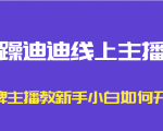 暴躁迪迪线上主播课,金牌主播教新手小白如何开播-资源云