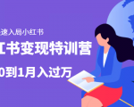 小红书变现特训营:带你快速入局小红书,从0到1月入过万-资源云