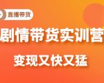 《剧情带货实训营》目前最好的直播带货方式,变起现来是又快又猛(价值980元)-资源云