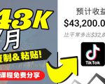 2022抖音国际版Tiktok赚钱项目:每天上传一个视频就轻松月入$43200-资源云