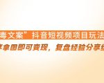 “毒文案”抖音短视频项目玩法，小程序拿图即可变现，复盘经验分享给大家-资源云
