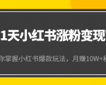 21天小红书涨粉变现营(第4期):带你掌握小红书爆款玩法,月赚10W+秘密-资源云
