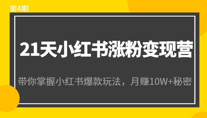 21天小红书涨粉变现营（第4期）：带你掌握小红书爆款玩法，月赚10W+秘密-资源云
