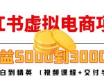 小红书虚拟电商项目:从小白到精英 月收益5000到30000 (视频课程+交付手册)-资源云