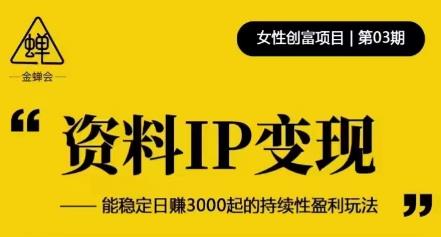 资料IP变现，能稳定日赚3000起的持续性盈利玩法-资源云