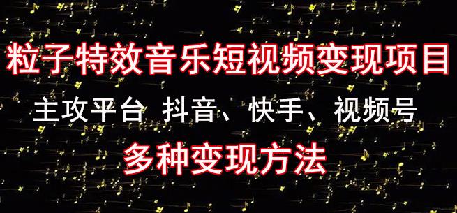 黄岛主《粒子特效音乐短视频变现项目》主攻平台抖音、快手、视频号多种变现方法-资源云