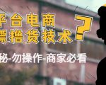 外面收费2980的全平台电商白嫖撸货技术(仅揭秘勿操作-商家防范必看)-资源云