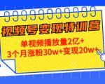 21天视频号变现特训营：单视频播放量2亿+3个月涨粉30w+变现20w+（第14期）-资源云