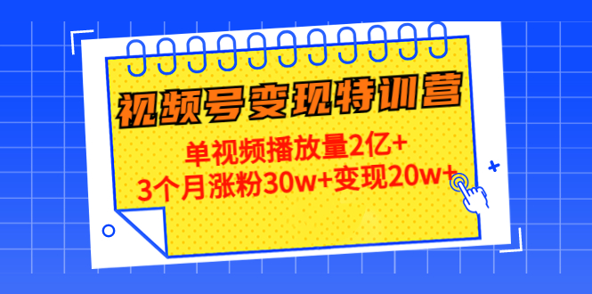 21天视频号变现特训营：单视频播放量2亿+3个月涨粉30w+变现20w+（第14期）-资源云