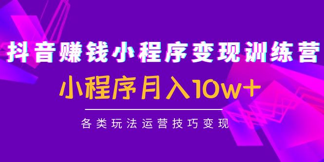 抖音赚钱小程序变现训练营：小程序月入10w+各类玩法运营技巧变现-资源云