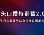 镜头口播特训营2.0版，学习文案编导以及拍摄口播能力（50节课时）-资源云