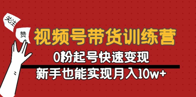 视频号带货训练营：0粉起号快速变现，新手也能实现月入10w+-资源云