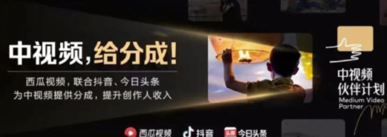 2022年最新中视频变现最稳最长期的项目，一个账号月入几万很简单-资源云