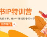 小红书IP特训营：从搭建-制作-爆款脚本等等，做一个赚钱的小红书号-资源云