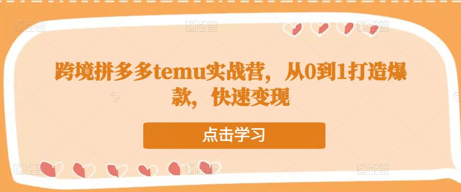 跨境拼多多temu实战营，从0到1打造爆款，快速变现-资源云