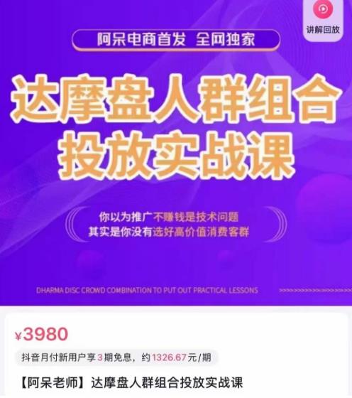 阿呆电商·达摩盘人群组合投放实战课，你以为推广不赚钱是技术问题，其实是你没有选好高价值消费客群-资源云