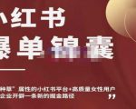 小红书爆单锦囊,自带种草属性+高质量女性用户,为你的企业开辟一条新的掘金路径-资源云