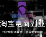 蓝Sir派·淘宝短视频快速起店，替代传统搜索方式，学会做一个不一样的淘宝店-资源云