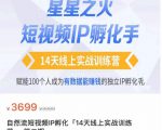 瑶瑶·自然流短视频IP孵化第二期,14天线上实战训练营,赋能100个人成为有数据能赚钱的独立IP孵化手-资源云