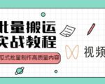 视频号批量搬运实战操作运营赚钱教程，傻瓜式批量制作高质量内容【附视频教程+PPT】-资源云