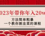 韭菜-联盟·2023年带你年入20w+方法简单粗暴,一个教你割韭菜的课程-资源云