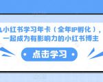 厦九九小红书学习年卡（全年IP孵化），沉浸式学习，一起成为有影响力的小红书博主-资源云
