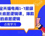 大圣淘宝天猫电商1-7层级盈利增长底层逻辑课,爆款的底层逻辑-资源云