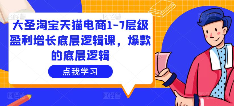 大圣淘宝天猫电商1-7层级盈利增长底层逻辑课，爆款的底层逻辑-资源云