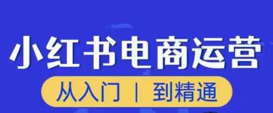 顽石小红书电商高阶运营课程，从入门到精通，玩法流程持续更新-资源云