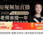 张越·短视频+直播,自然流三频共振起号实操课,短视频所有流量玩法讲解-资源云