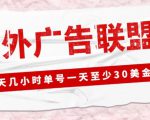 外面收费1980的最新国外LEAD广告联盟搬砖项目，单号一天至少30美金【详细玩法教程】-资源云