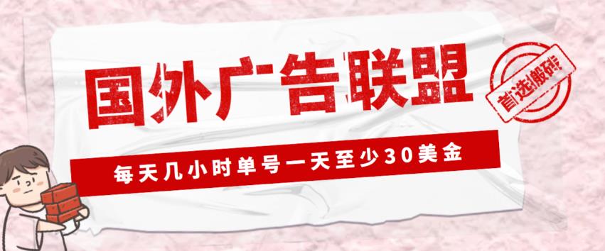外面收费1980的最新国外LEAD广告联盟搬砖项目，单号一天至少30美金【详细玩法教程】-资源云